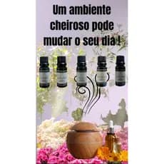 Essenciais aromaticas hidrossolúveis 20ml fina life
