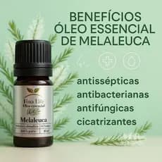 Oleo essencial Melaleuca - tea tree 10ml 100% puro fina life MICOSE