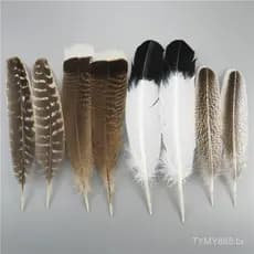 10Pcs/Lot Penas De Águia Natural Para Artesanato Pluma Cabeleireiro Acessórios Decoração De Férias Carnaval Artesanal De