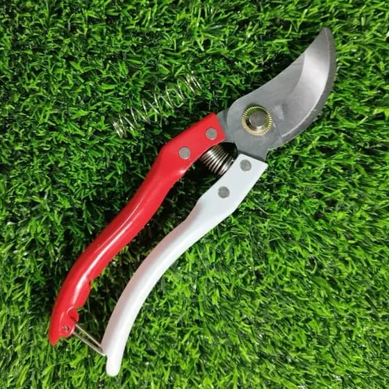 Tesoura de Poda Super Afiada para Jardinagem cuidados com flores plantas ornamentais jardim bonsai