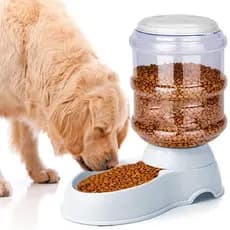 Comedouro Automático para Cães e Gatos Bebedouro 3,8L prático pet  GALÃO