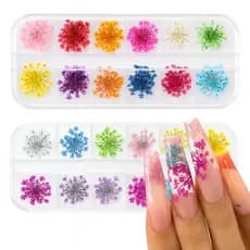 Kit Flor Seca Natural para Unhas – 24 Unidades | Encapsulamento e Decoração Nail Art