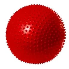 Bola Suiça Cravo Pilates 65cm com Bomba Fisioterapia Massagem PVC JustGoFit