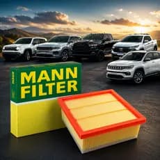 Filtro Ar Toro Renegade Compass Mann-filter C21002