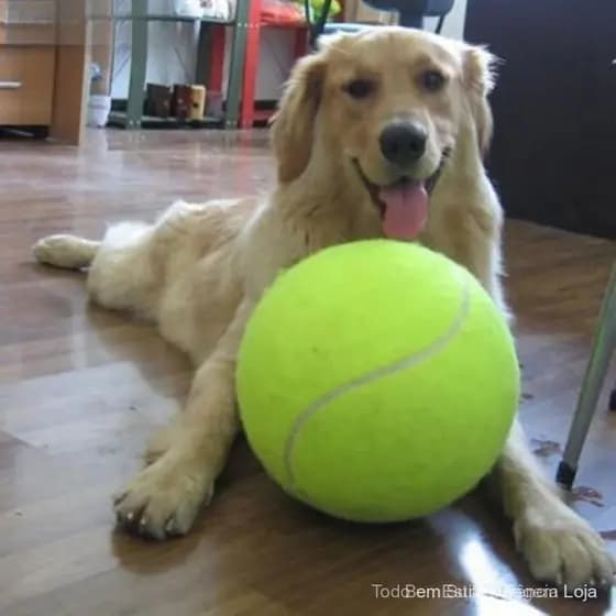 HW 9.5 " Bola De Tênis Para Cães , Grande Gigante , Cão De Estimação , Filhote De Cachorro , Lançador , Brinquedo De Mas
