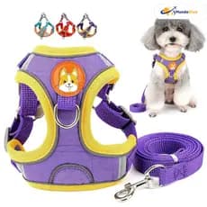 Coleira em Formato de Colete para Cães e Gatos – Conjunto com Guia Resistente