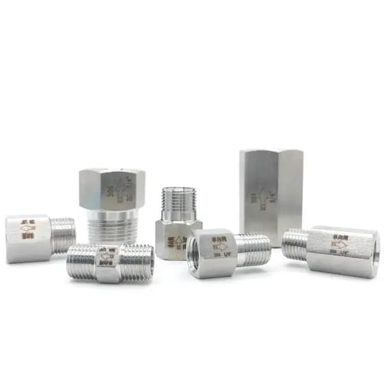 Válvula unidirecional de aço inoxidável 304, válvula de retenção hidráulica a gás, válvula de retenção de vapor de alta