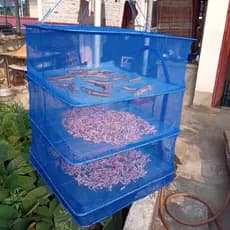 Rede dobrável para secagem de peixes, gaiola à prova de insetos, rede de secagem para batata-doce, rabanetes, vegetais,