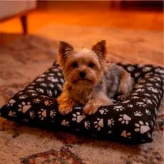 cama cachorro pequeno médio grande gigante