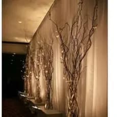 🛍️Galhos Secos para montagem de árvores, decoração de flores artificiais GALHO SECO