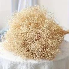 Buquê Gypsophila 70 cm Galhos Secos Plantas Mosquitinhos Decoração Casamento - QY803030 OFF WHITE