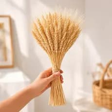 Trigos Secos Hastes Para Decoração Arranjos Buque Desidratado Fardos 65cm