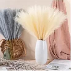 Kit Haste de Capim de Plumas CREME 53cm Detalhe Flores Plantas Artificiais Decorativas - QY803033 P