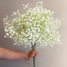 🛍️Galho Plantas Mosquitinhos 62cm Gypsophila Artificial Decoração Decorar Festas Branco - BH802260