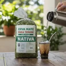 Erva Mate Tereré Tradicional Nativa 500 G Pura E Fresca