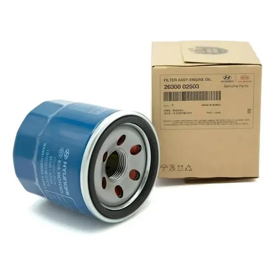 Filtro De Óleo Motor Hyundai Hb20 1.0 2012-2024
