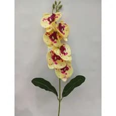 Orquídea 1 Haste com 6 Flores e 2 Folhas (cc344)