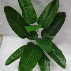 Bananeira Pequena com 12 Folhas