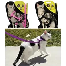 Peitoral com coleira e guia para passeio de cães e gatos de pequeno porte – conforto e segurança LR-0163