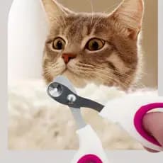 Cortador De Unhas Com Furo Aço Inox Tesoura Precisa Para Gato Evita Sangramento LR-0217