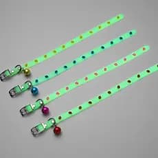Coleira Brilhante Neon LR-0080 Com Pingente Sininho Pet Noturna Luminosa