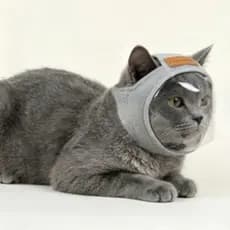 Capuz transparente para gato, visão desobstruída, máscara de malha respirável para gato, máscara protetora.