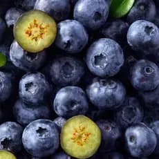 Sementes naturais Sementes De Mirtilo Tenras E Saborosas crescimento garantido