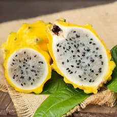prazer de cultivar 50 100 Sementes Misturadas pcs/pacote Fruta do Dragão Doce para Plantio Pitaya Doce Fruta Fresca