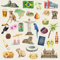 Adesivos Brasil Rio de Janeiro São Paulo Comidas Animais para Kindle Mala Garrafa Scrapbook À Prova d'água