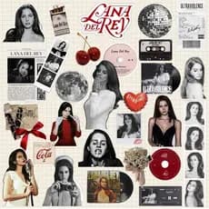 Kit 30 Adesivos Lana Del Rey Vinil À Prova d'água garrafa celular kindle notebook scrapbook