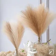 Kit 10 a 40 pçs Plumas Capim de Pampas Plantas Artificiais Decoração Casamento - QY803033 PEQ