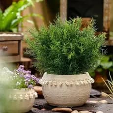 Buquê de Alecrim Artificial Matinho Plantas Folhas Folhagem Decoração Jardim Vertical - DZ801621