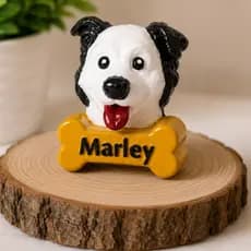 Imã 3D Personalizado de Pet com Nome