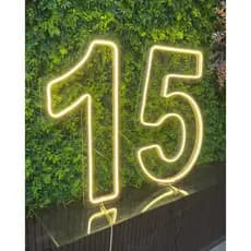 Painel Led Neon Números 0 a 9 Acrílico Cristal 50cm Altura para decoração