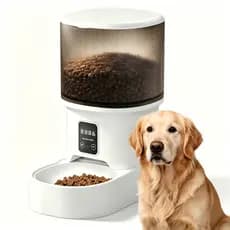Alimentador Automático para Gatos e Cães 4L Programável 6 Refeições, Mantém Ração Fresca, Fácil de Limpar