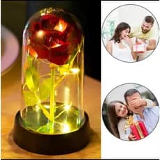 Rosa Encantada LED e Kit com Rosa Eterna com Iluminação Mágica e porta Retrato 10x15