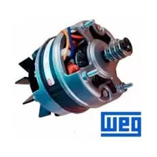 Motor Grill Churrasqueira Weg Bivolt 1/30cv