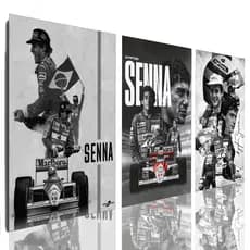 Quadro Decorativo Mosaico Ayrton Senna Mosaico Preto e Branco