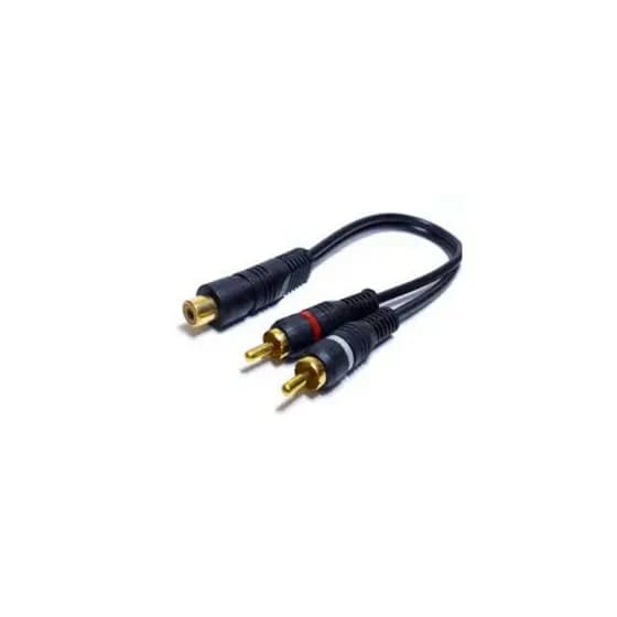 Cabo Rca Y 1m/2f Preto - Banhado A Ouro - 1 Macho / 2 Femeas