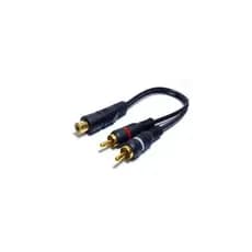 Cabo Rca Y 1m/2f Preto - Banhado A Ouro - 1 Macho / 2 Femeas