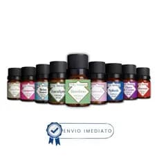 Kit 10 Essências Concentradas Hidrossolúvel Para Difusor/Aromatizador/Umidificador Conta Gotas