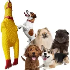 Brinquedo Cães Pet Galinha 15cm Vinil Frango Borracha Apito LUXPET LUX3133