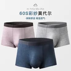 Novo produto pronto estoque primavera roupa interior masculina Modal antibacteriano confortável boxer briefs 60 fio colo