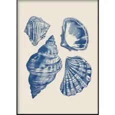 QUADRO DECORATIVO CONCHAS DO MAR AZUL SALA ESCRITORIO LUXO