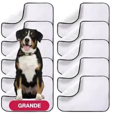 Tapetes higiênicos Kits 5/3/2/1 lavável para pet dog xixi gato educador reutilizável