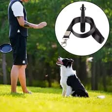 Apito Para Cães Llittlesunla Com Cordões , Apitos Ultrassônicos Parar De Latir Silenciosos De Alta Frequência Treinament