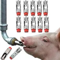 Bebedouro de mamilo de porco,  automático, em forma de boca de pato, 10 peças de aço inoxidável para semeiras, leitões