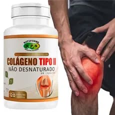 Colágeno Tipo 2 120 Cápsulas 500mg - Articulações Fortes Pele Firme e Cartilagens Saudáveis