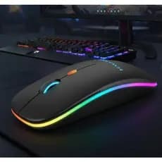 Mouse Sem Fio Rgb Recarregável Wireless Led Ergonômico com Regulagem DPI E-1300PRO