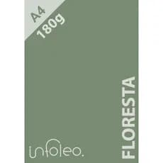 Papel A4 180g Verde Floresta Color Plus Sensationplus